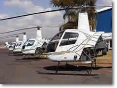 Row of Robinson R22s